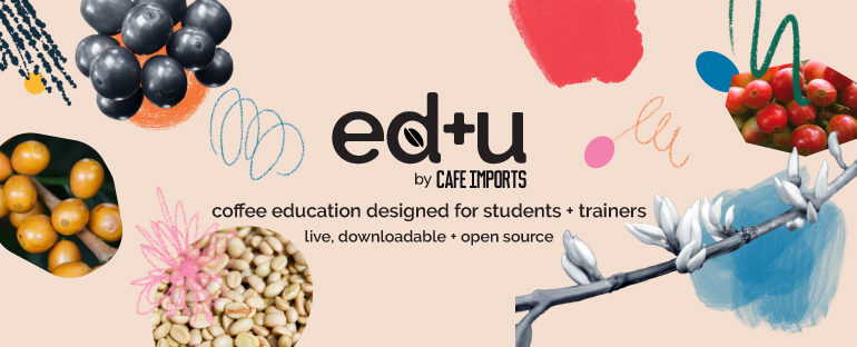 Cafe Imports ed+u coffee education designed for students and trainers