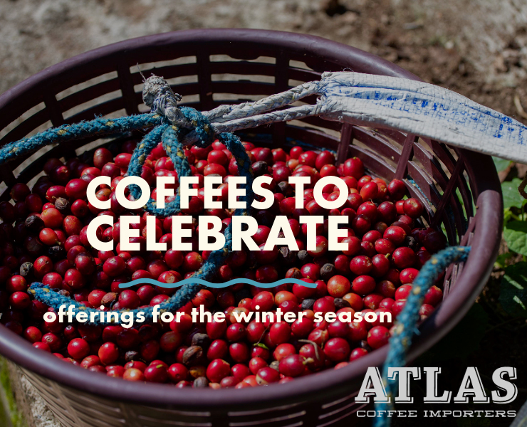 banner advertising atlas coffee importers Coffees To Celebrate