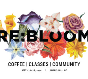 rebloom cel 12