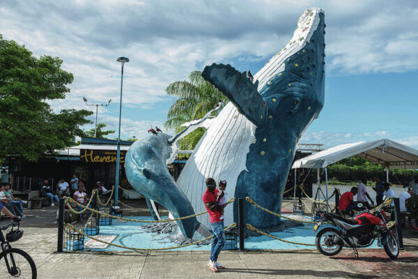 In Colombia, you can watch whales, and serenade them, too