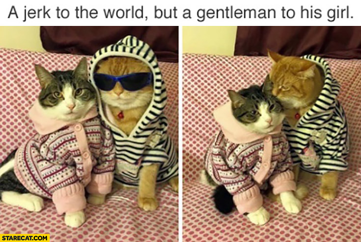 A jerk to the world but a gentleman to his girl. Cats wearing hoodies