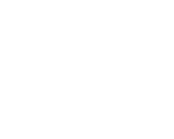 Pizzeria Stella