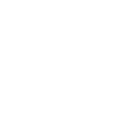 adobe portfolio icon