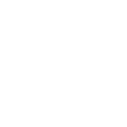 adobe portfolio icon