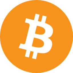 Bitcoin Cryptocurrency icon