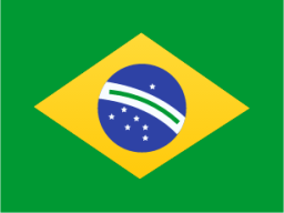 Brazil icon