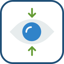 focus icon