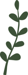 leaf nature vine icon