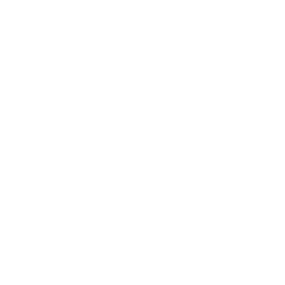 Litecoin Cryptocurrency icon