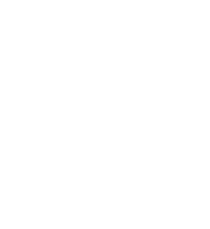 retail execution icon