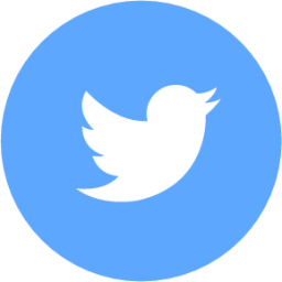 twitter round icon