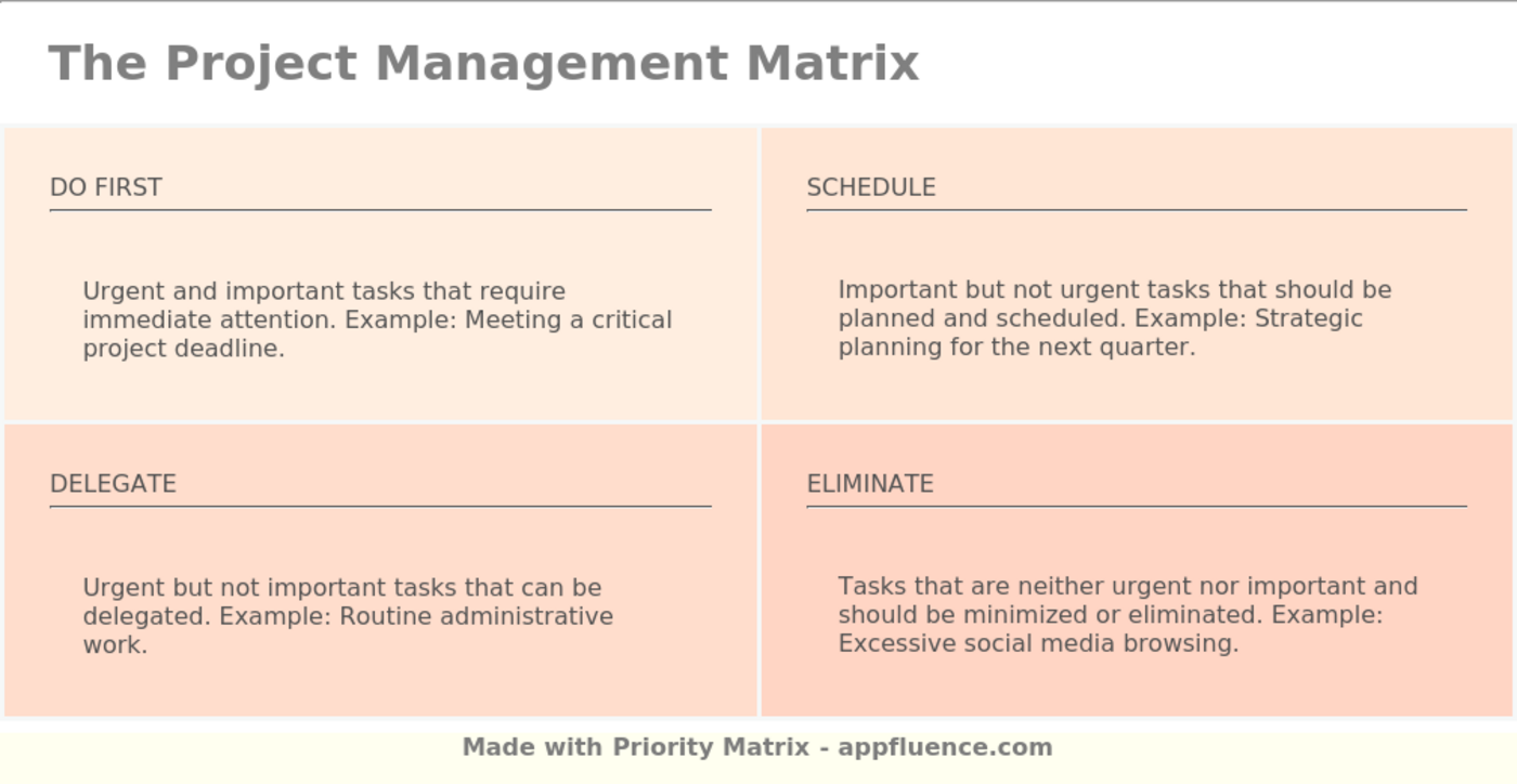 Project Management Matrix quadrant descriptions, including examples