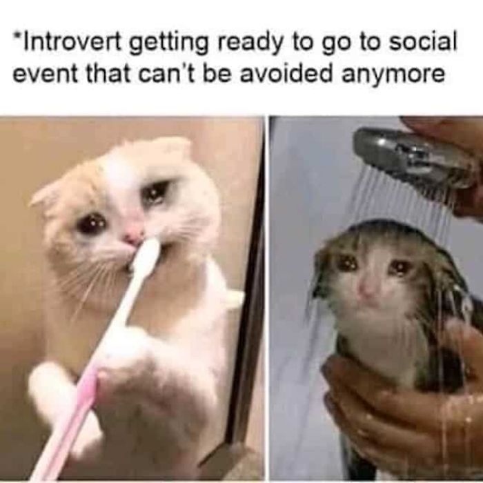 Hilarious-Introvert-Memes