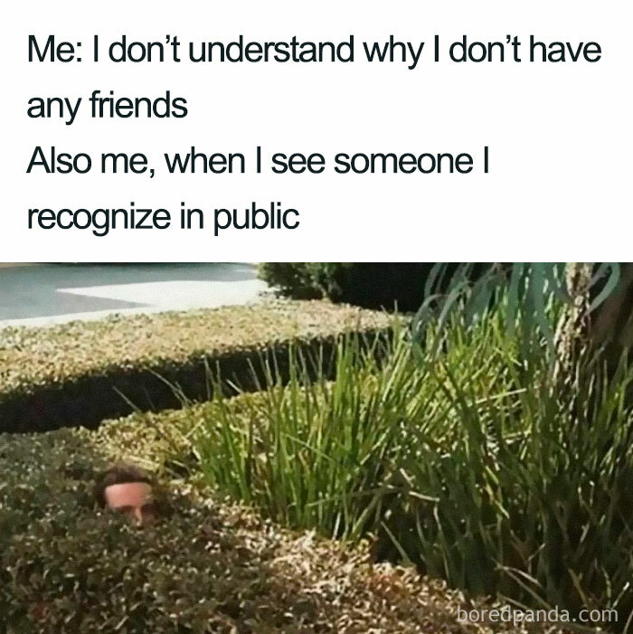 Hilarious-Introvert-Memes