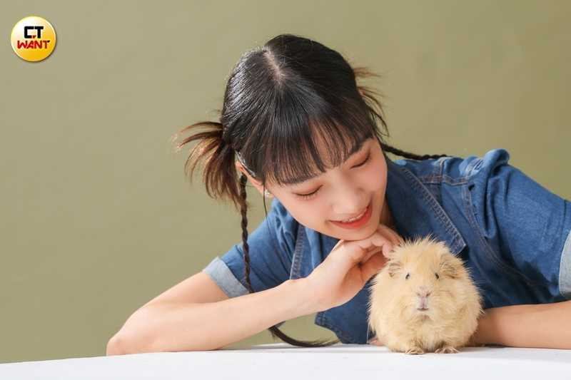 看到妹妹養的天竺鼠太可愛，艾庭被收服後也領養了鮑伯。（圖／林士傑攝）