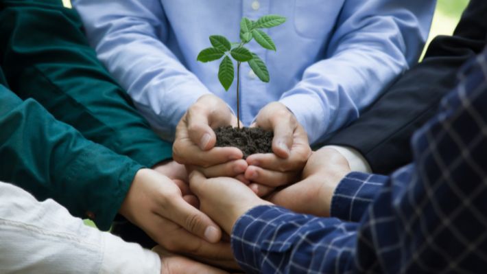 Viraliza Sostenibilidad abre postulaciones: Formación gratuita para emprendedores acuícolas y resiliencia climática