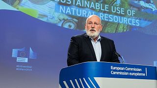 Frans Timmermans is one of the three European Commission's executive vice-presidents and oversees the European Green Deal.