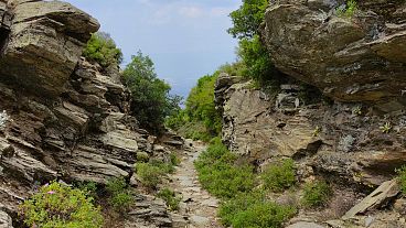 Ein Abschnitt der Efeler-Route