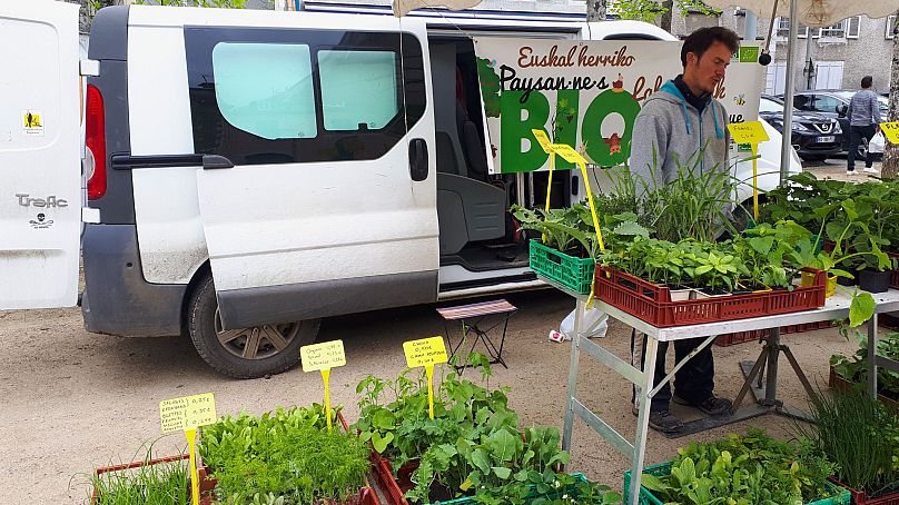 Jean Matthieu Thévenot produces and sells organic vegetables and seedlings in France's Basque Country.