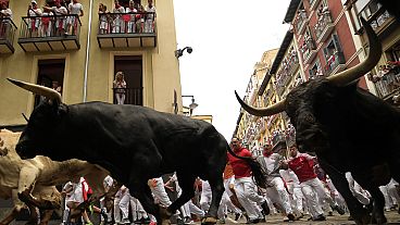 People test their speed and bravery by dashing with six fighting bulls through the streets of the northern Spanish city of Pamplona.