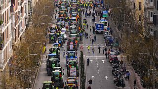 Spanish farmers protest in Madrid in January 2024, a scene repeated across the EU amid a backlash against low income, red tape, and EU environmental rules