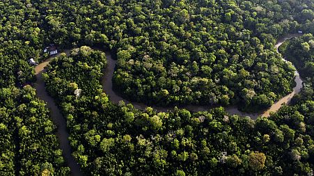 The EU deforestation law was highly contested by countries of the Global South.