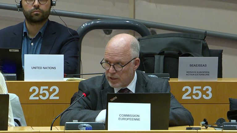 The EU's chief biodiversity negotiator Hugo Chailly briefs MEPs in the European Parliament's environment committee on 3 October 2024