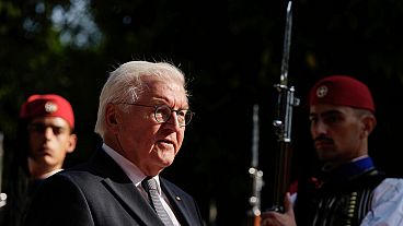 Federal President Frank-Walter Steinmeier.