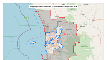 The quarantine area for polyphagous shot-hole borer has been expanded to cover the entire Perth metropolitan area and now includes two zones to help contain the spread of the destructive pest.