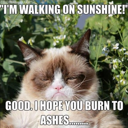 grumpy-cat-sunshine