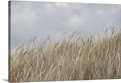 Dunes And Clouds 1