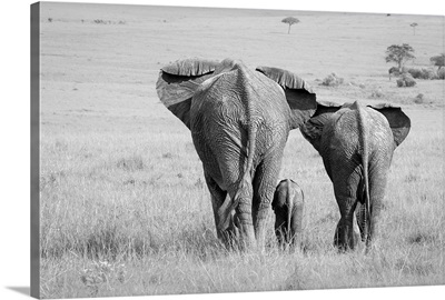 Three Butts