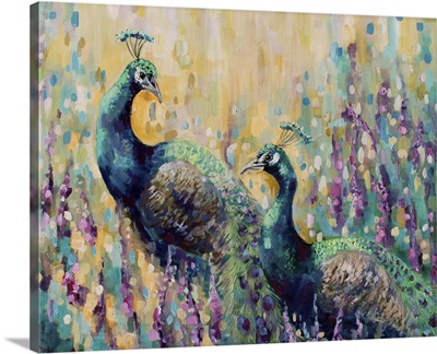 Peacocks In The Field