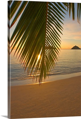 Hawaii, Oahu, Mokulua Islands, Golden Sunrise At Lanikai Beach