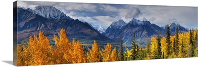 Panoramic View Of The Fall Foliage And Snowcapped Chugach Mountains, Alaska