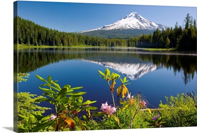 Reflection Of Mount Hood In Trillium Lake In The Oregon Cascades; Oregon