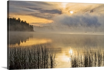 Morning Paddle