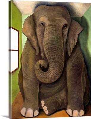 Elephant In A Room