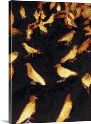 Birds, 2008