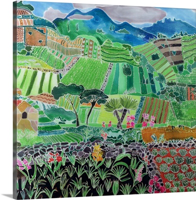 Cabbages and Lilies, Solola Region, Guatemala, 1993