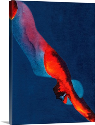 Diver, 2011