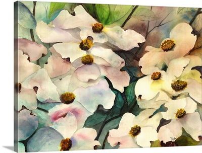 Dogwood