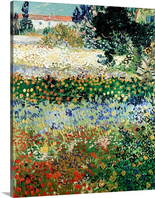 Garden in Bloom, Arles, 1888