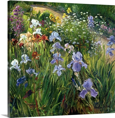 Irises and Oxeye Daisies, 1997