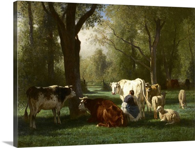 Landscape with Cattle and Sheep, 1852-8