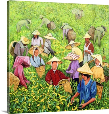 Tea Picking Girl, 1994