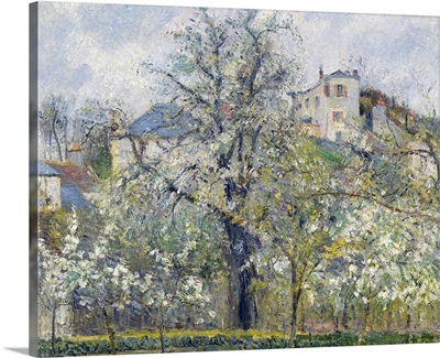 The Vegetable Garden with Trees in Blossom, Spring, Pontoise, 1877