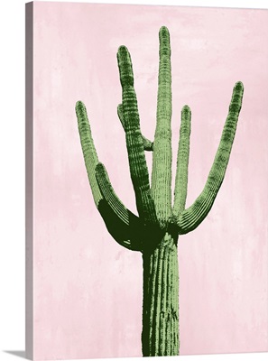 Cactus on Pink III