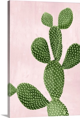 Cactus on Pink VI