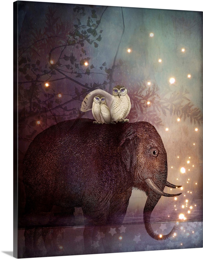 An elephant, standing in a small pond of water on a starry night, has a pair of white owls perched on his back.